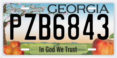GA license plate PZB6843