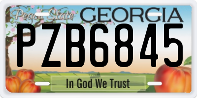 GA license plate PZB6845