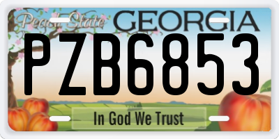 GA license plate PZB6853