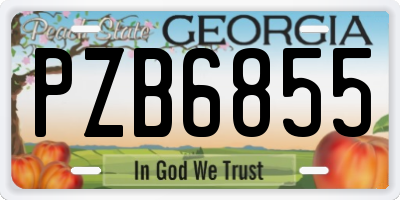 GA license plate PZB6855