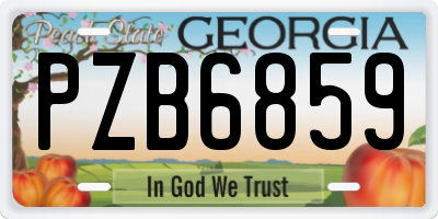 GA license plate PZB6859