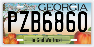 GA license plate PZB6860