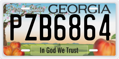 GA license plate PZB6864