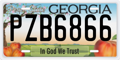 GA license plate PZB6866