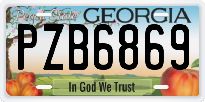 GA license plate PZB6869