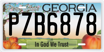 GA license plate PZB6878