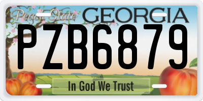 GA license plate PZB6879