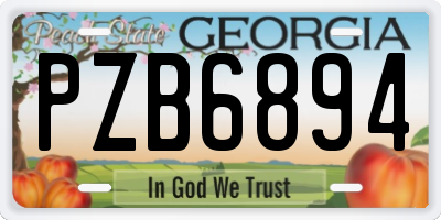 GA license plate PZB6894