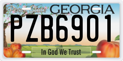 GA license plate PZB6901