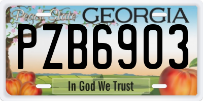 GA license plate PZB6903