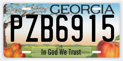 GA license plate PZB6915