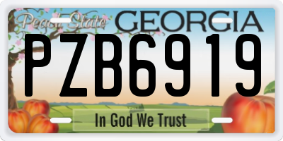 GA license plate PZB6919