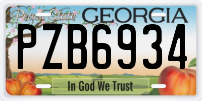 GA license plate PZB6934