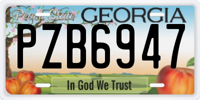 GA license plate PZB6947