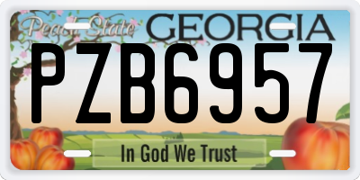 GA license plate PZB6957