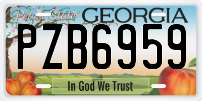 GA license plate PZB6959
