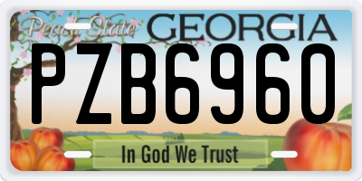 GA license plate PZB6960