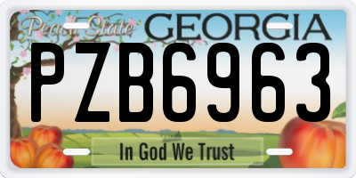 GA license plate PZB6963