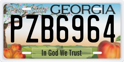 GA license plate PZB6964