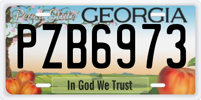 GA license plate PZB6973