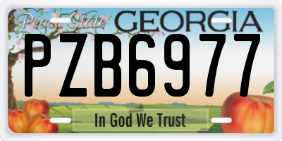 GA license plate PZB6977