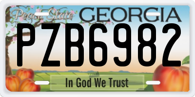 GA license plate PZB6982