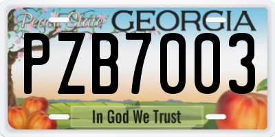 GA license plate PZB7003