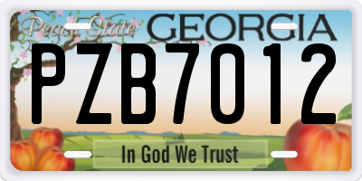 GA license plate PZB7012