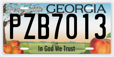 GA license plate PZB7013