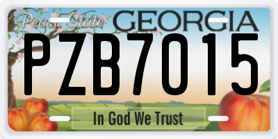 GA license plate PZB7015