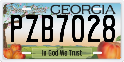 GA license plate PZB7028