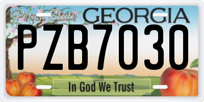 GA license plate PZB7030