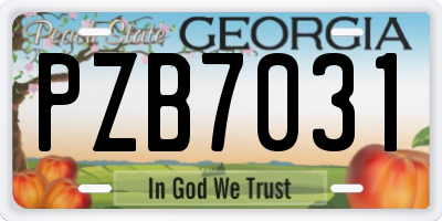 GA license plate PZB7031