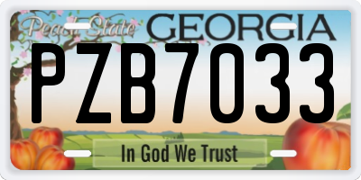 GA license plate PZB7033