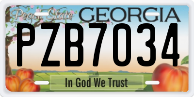 GA license plate PZB7034