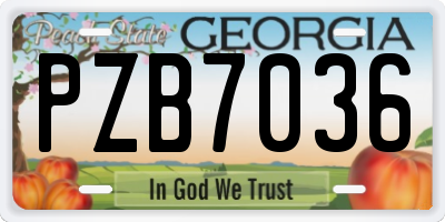 GA license plate PZB7036