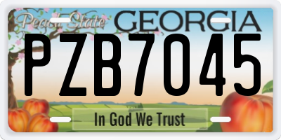 GA license plate PZB7045