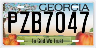 GA license plate PZB7047