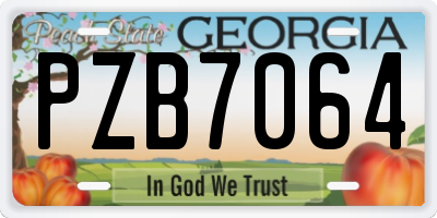 GA license plate PZB7064