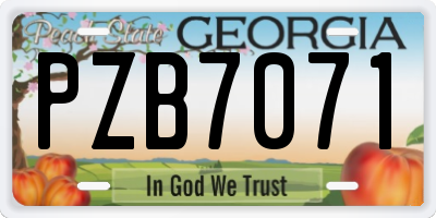 GA license plate PZB7071