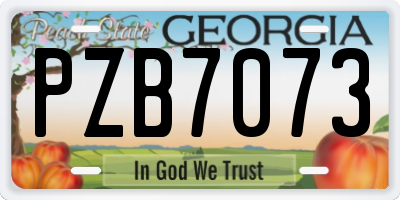 GA license plate PZB7073