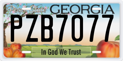 GA license plate PZB7077