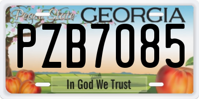 GA license plate PZB7085