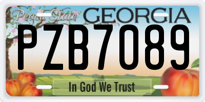 GA license plate PZB7089