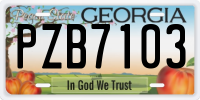 GA license plate PZB7103