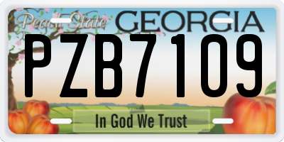 GA license plate PZB7109