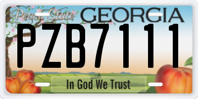 GA license plate PZB7111