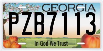 GA license plate PZB7113