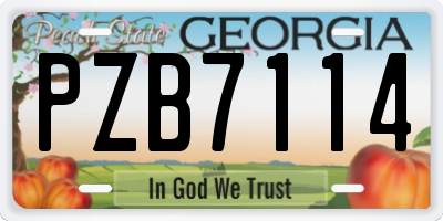 GA license plate PZB7114