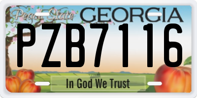 GA license plate PZB7116